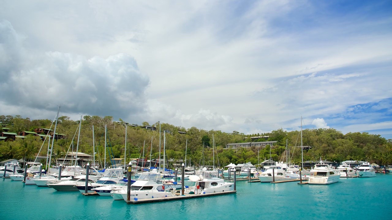 Photo of Outdoor in Lake Hamilton