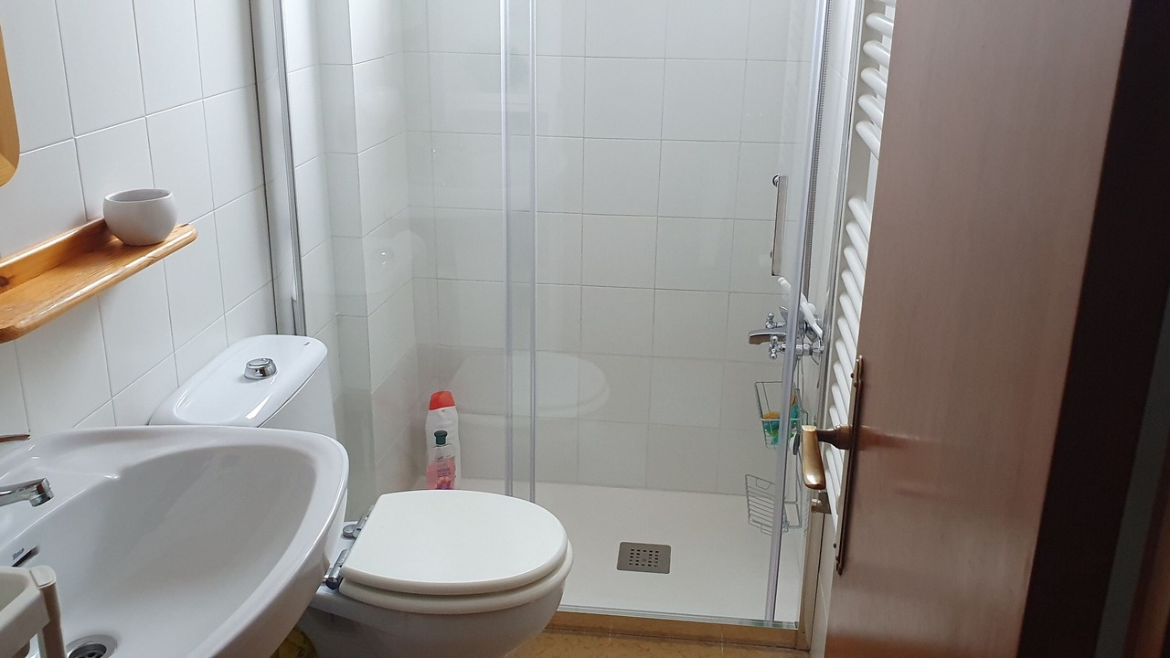 Photo of Bathroom in Banyoles
