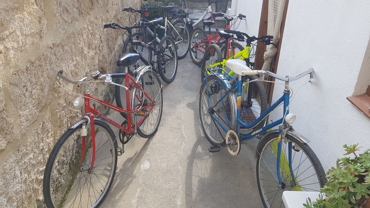 Photo of Outdoor in Banyoles