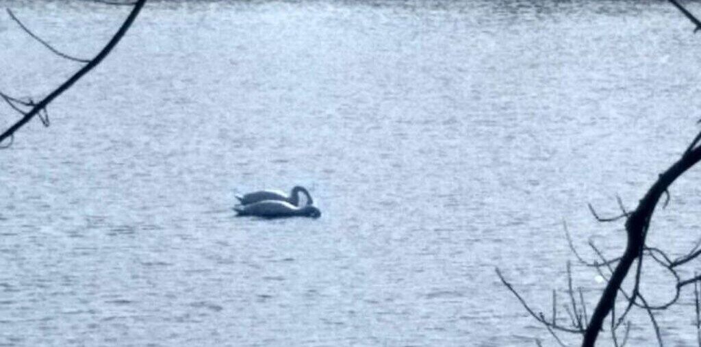 Photo of Others in Niverville