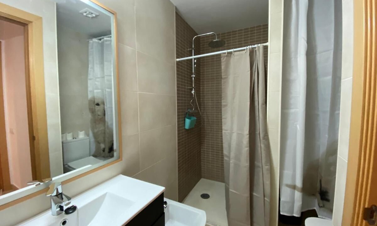 Photo of Bathroom in Terrassa