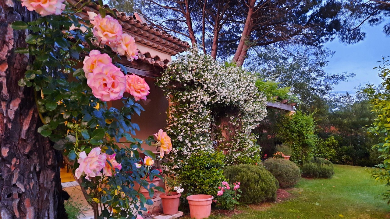 Photo of Others in Les Brugassieres