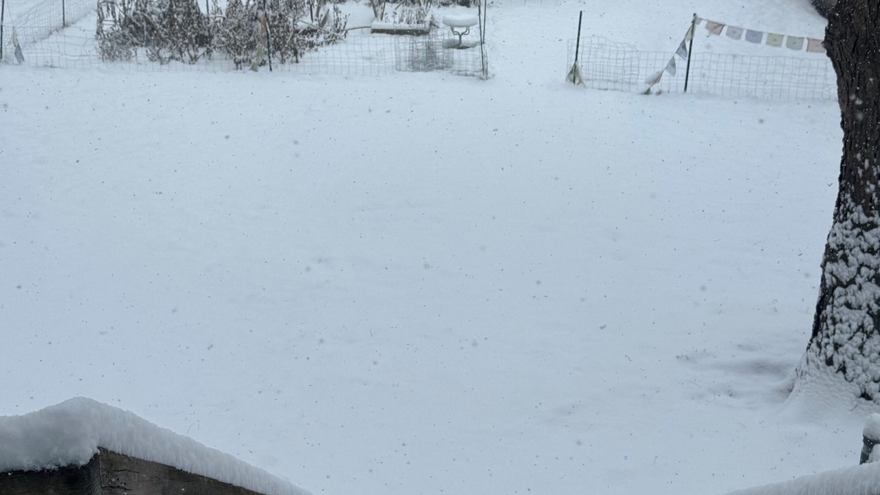 Photo of Outdoor in Ithaca