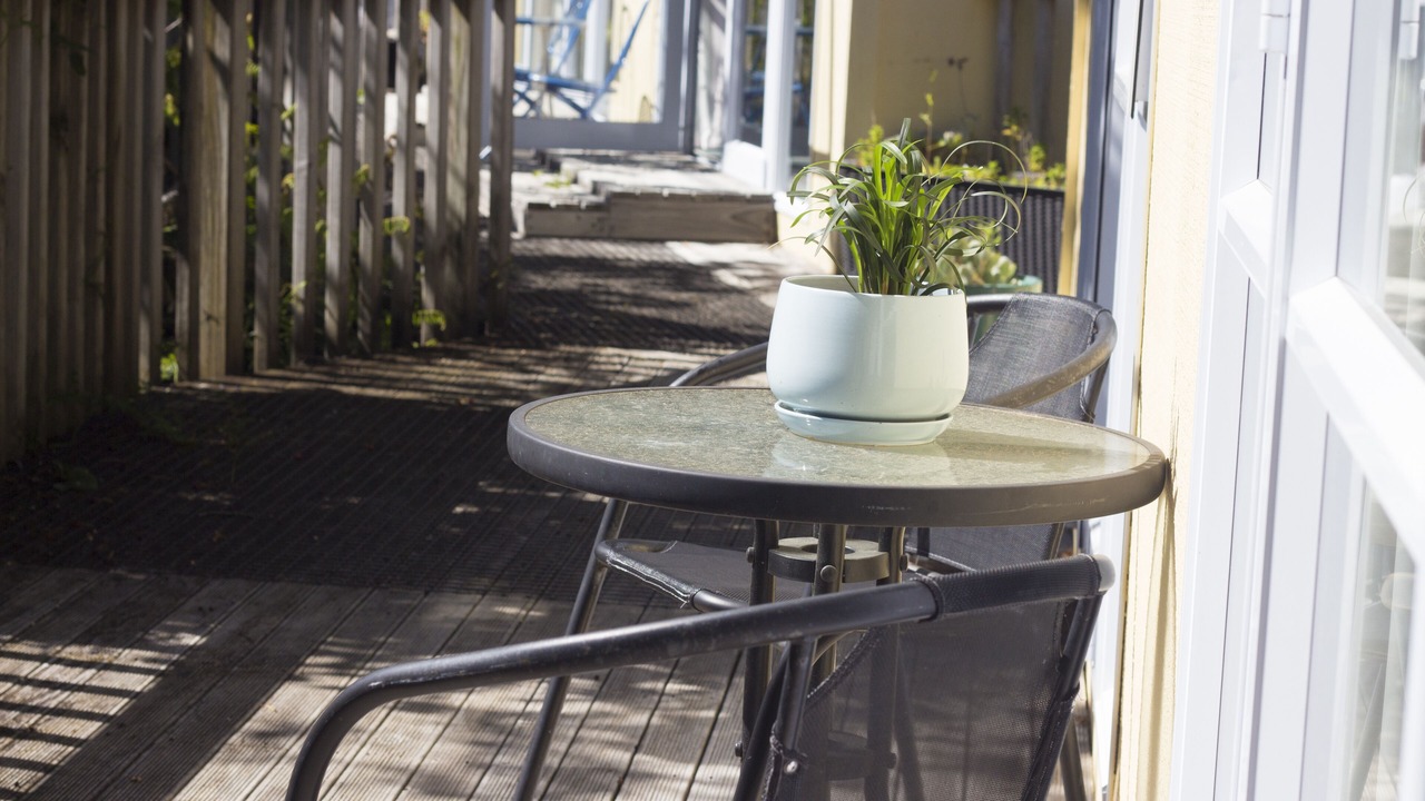 Photo of Patio Balcony in Tararua Forest Park