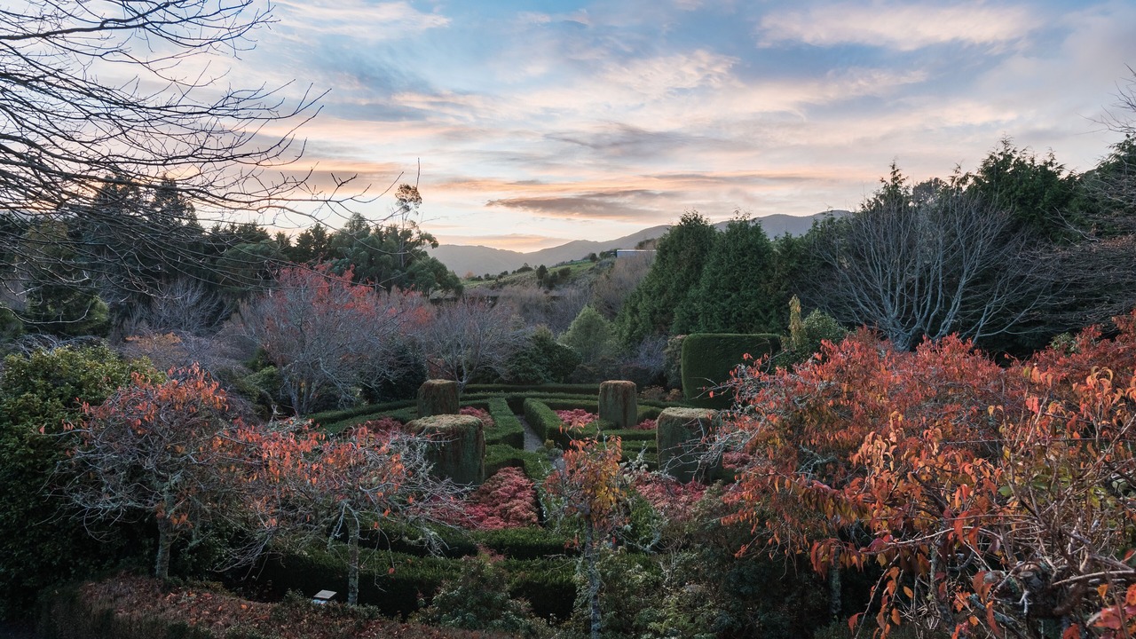 Photo of Outdoor in Tararua Forest Park