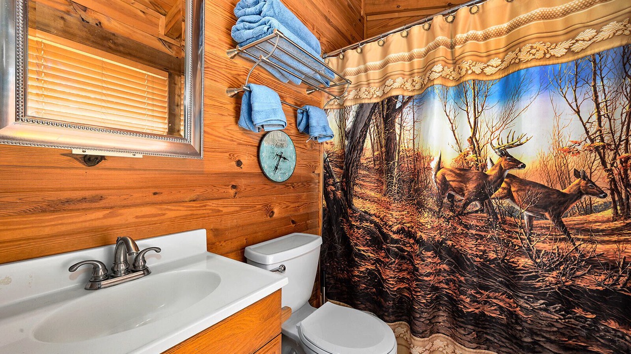 Photo of Bathroom in Johnson County