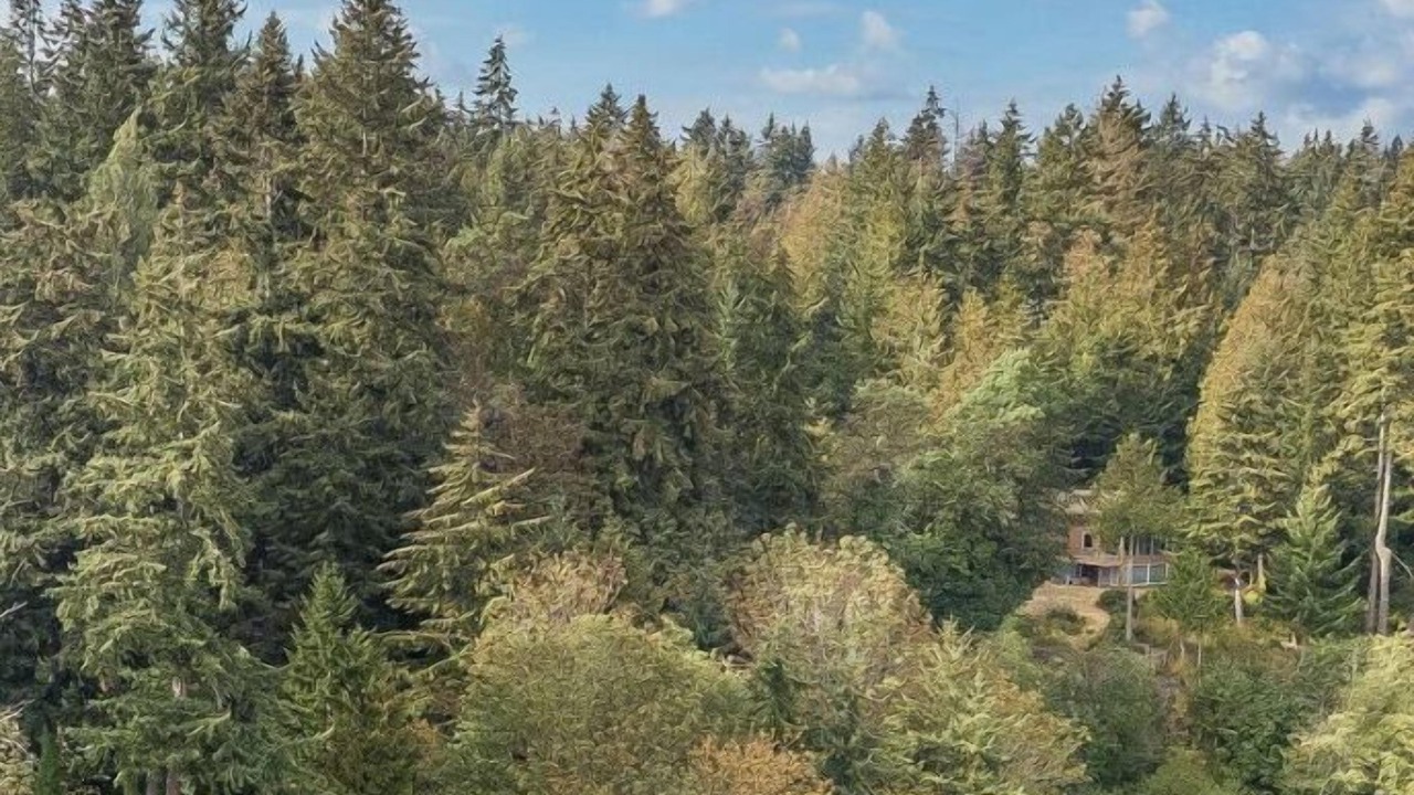 Photo of Others in Bremerton