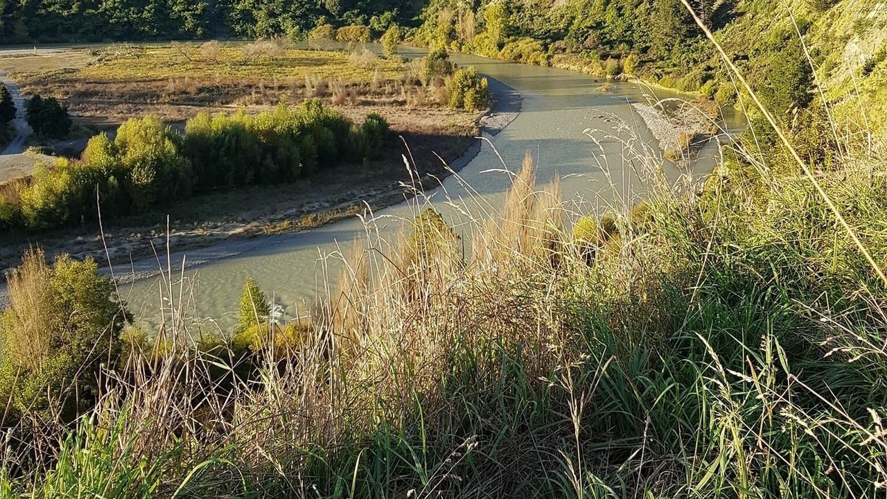 Photo of Outdoor in Kiwitea