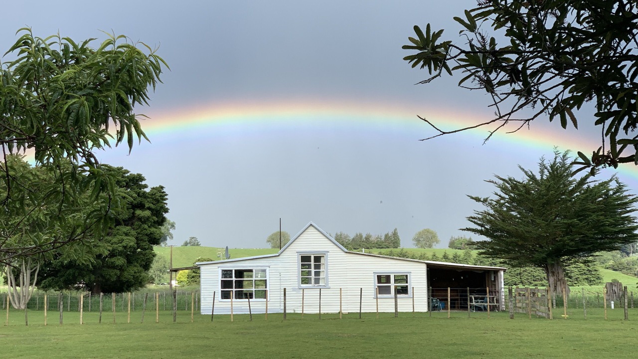 Photo of Outdoor in Kiwitea