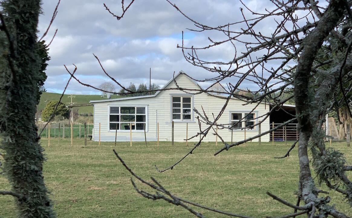 Photo of Outdoor in Kiwitea