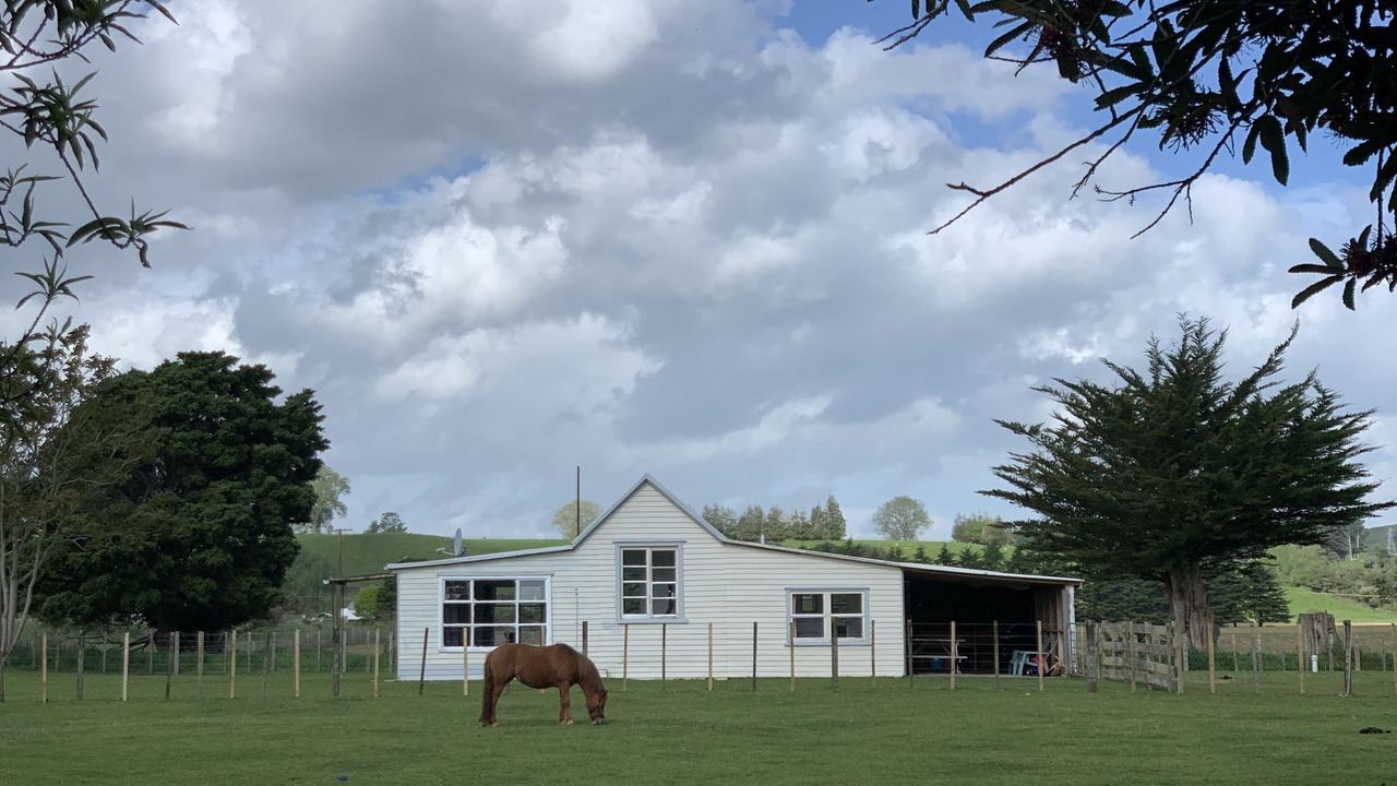 Photo of Outdoor in Kiwitea