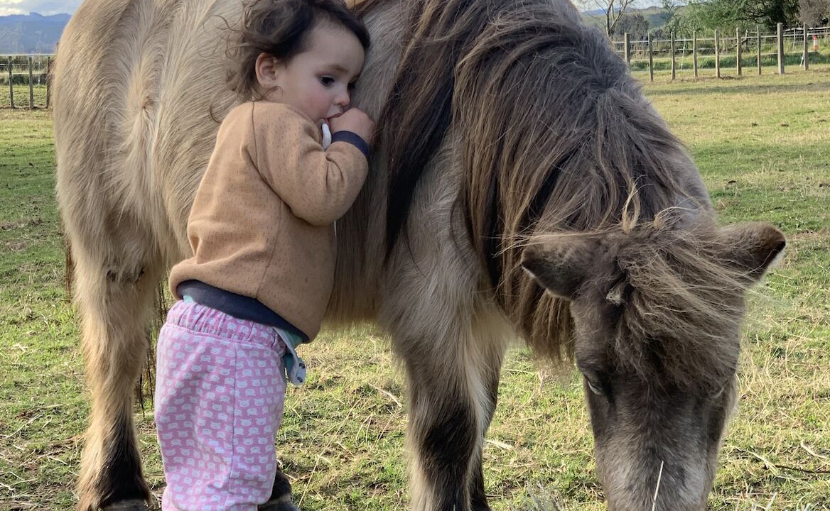 Photo of Bathroom in Kiwitea