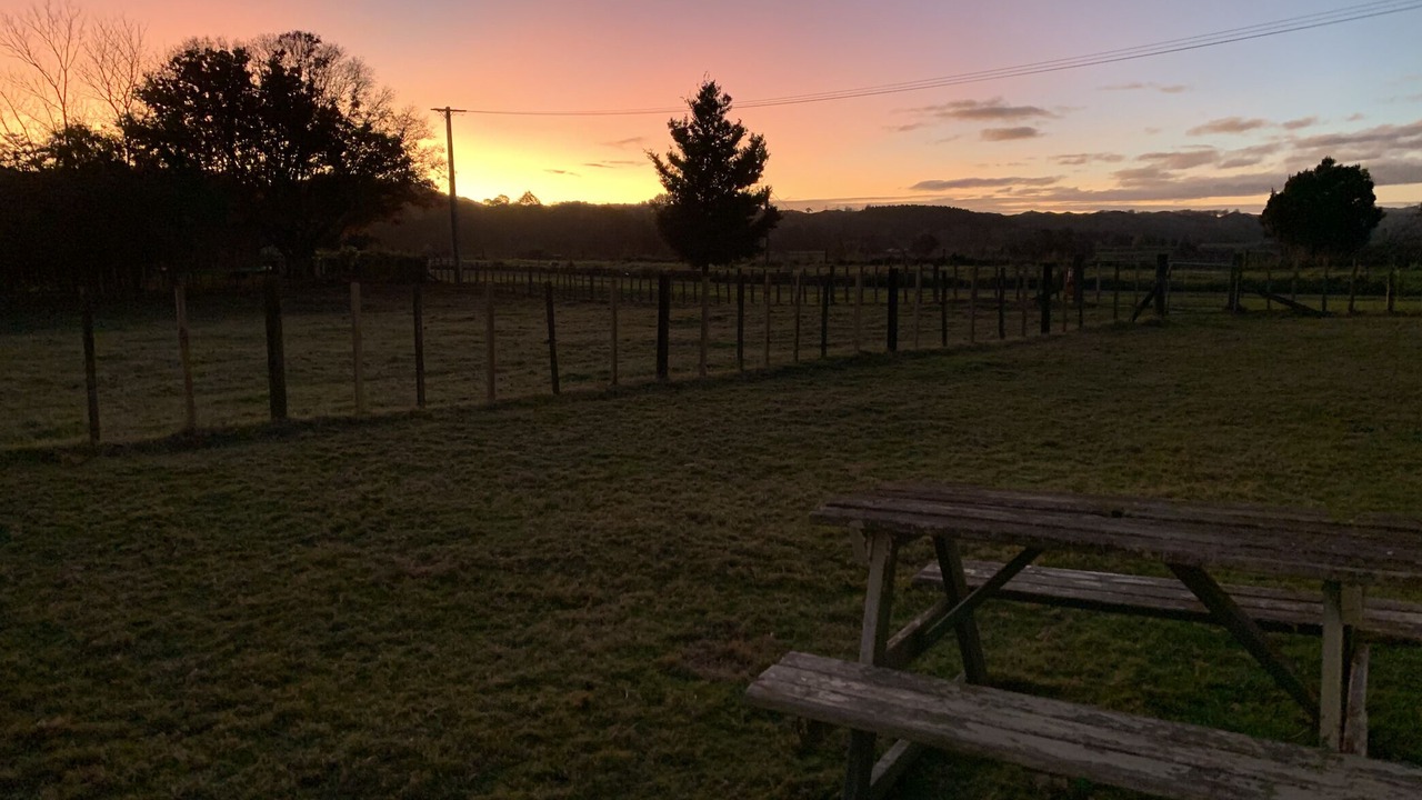 Photo of Outdoor in Kiwitea