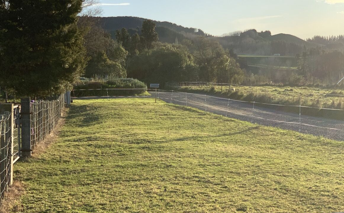 Photo of Others in Kiwitea