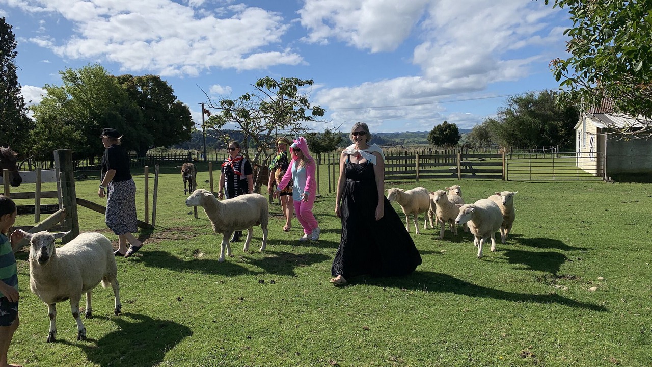 Photo of Outdoor in Kiwitea