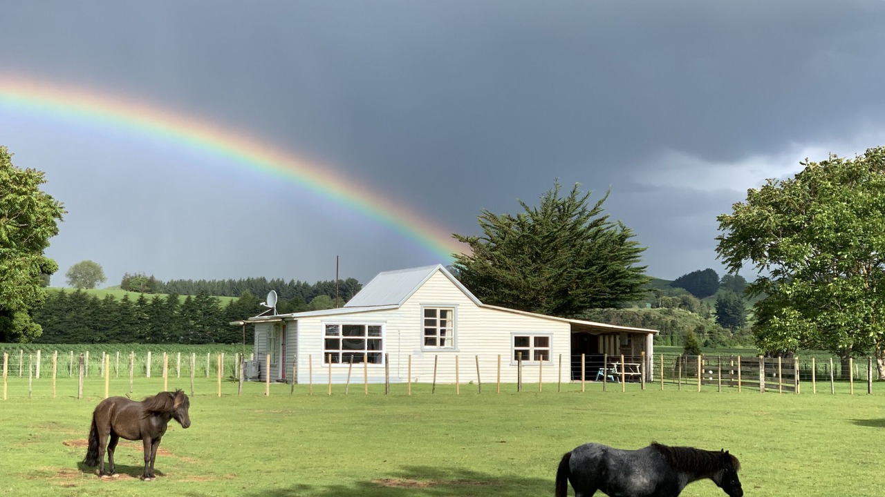 Photo of Outdoor in Kiwitea