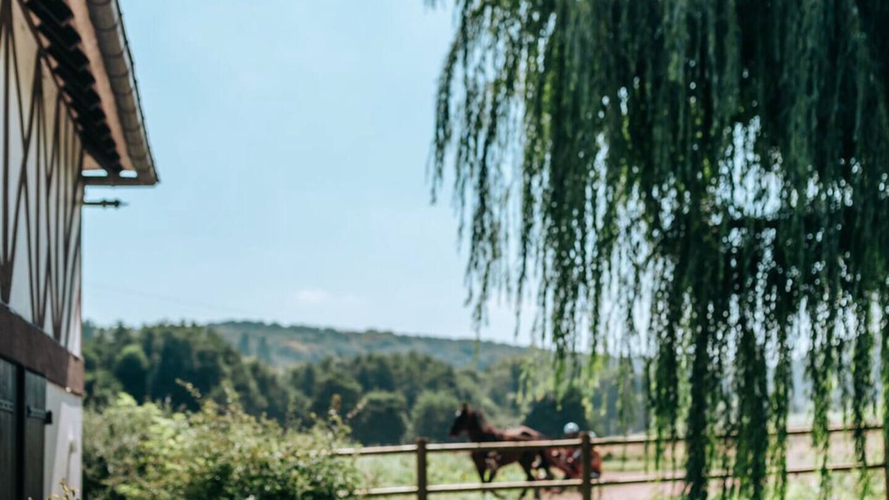 Photo of Patio Balcony in Pennedepie