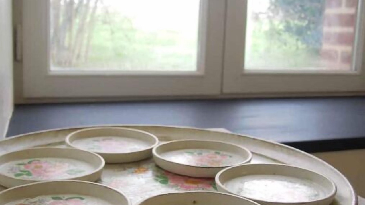 Photo of Others in Chelun