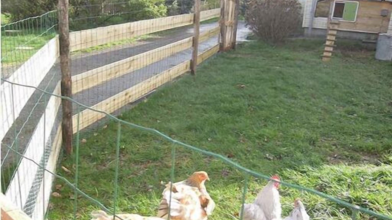 Photo of Outdoor in Chelun