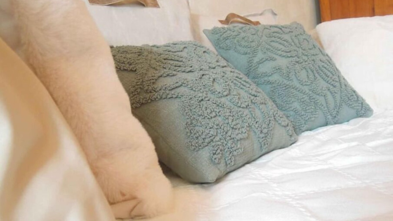 Photo of Bedroom in Chelun