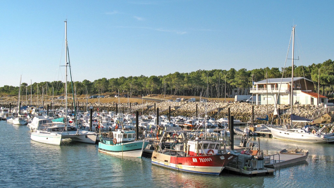 Photo of Others in La Palmyre