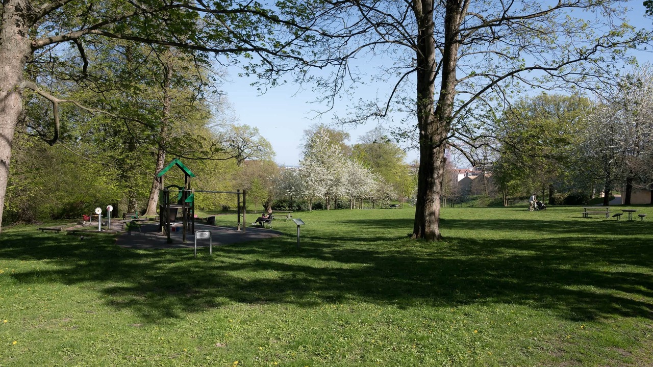 Photo of Others in Aarhus North