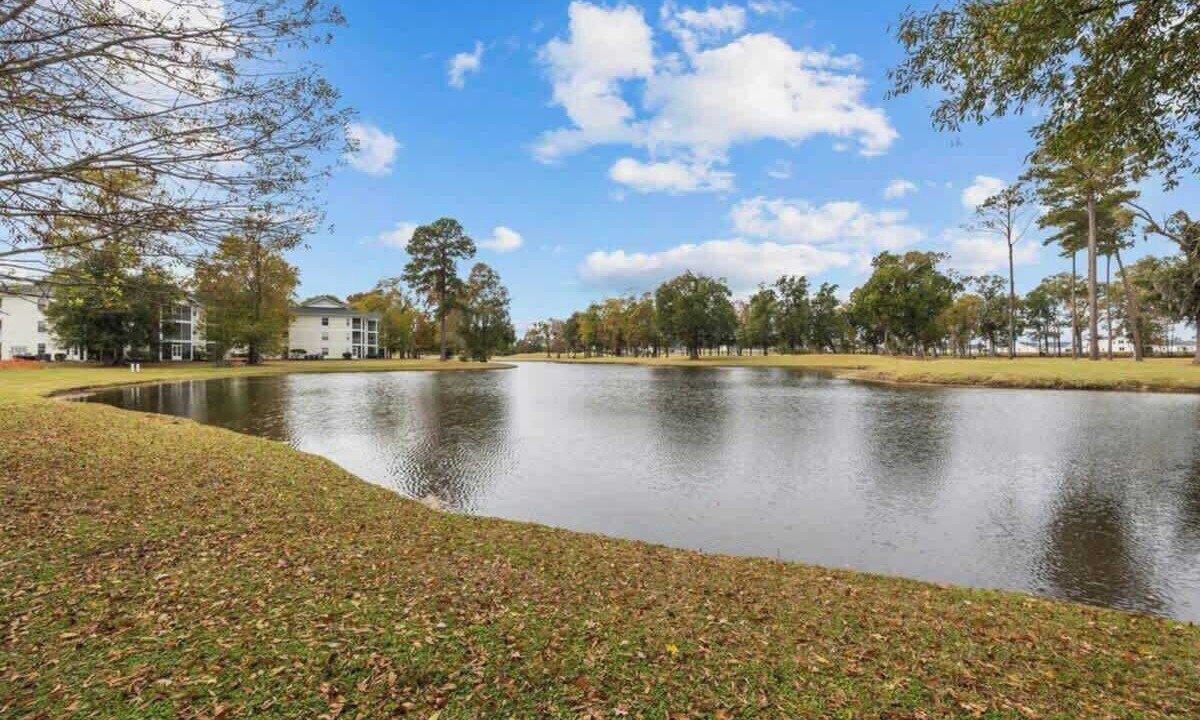 Photo of Outdoor in Carolina Forest