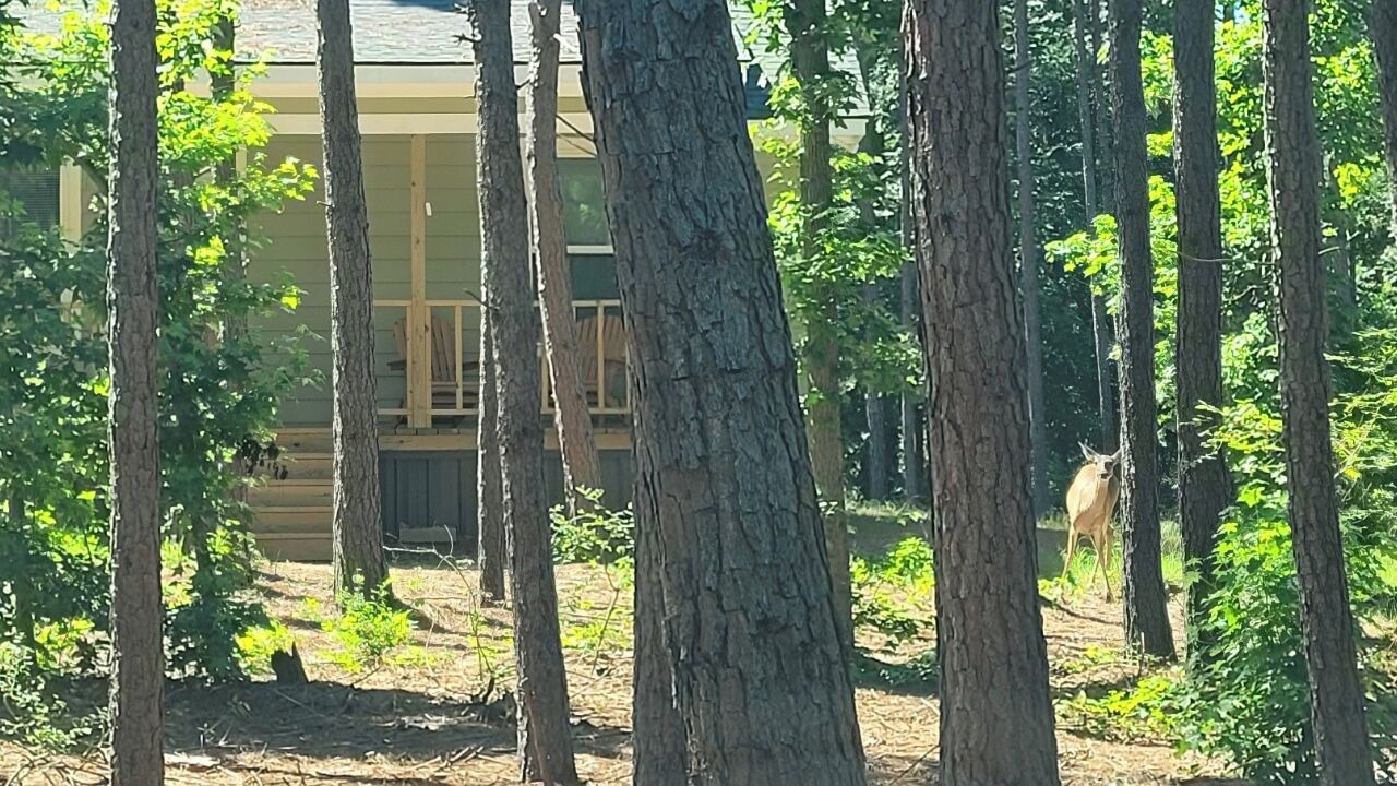 Photo of Outdoor in Powderly