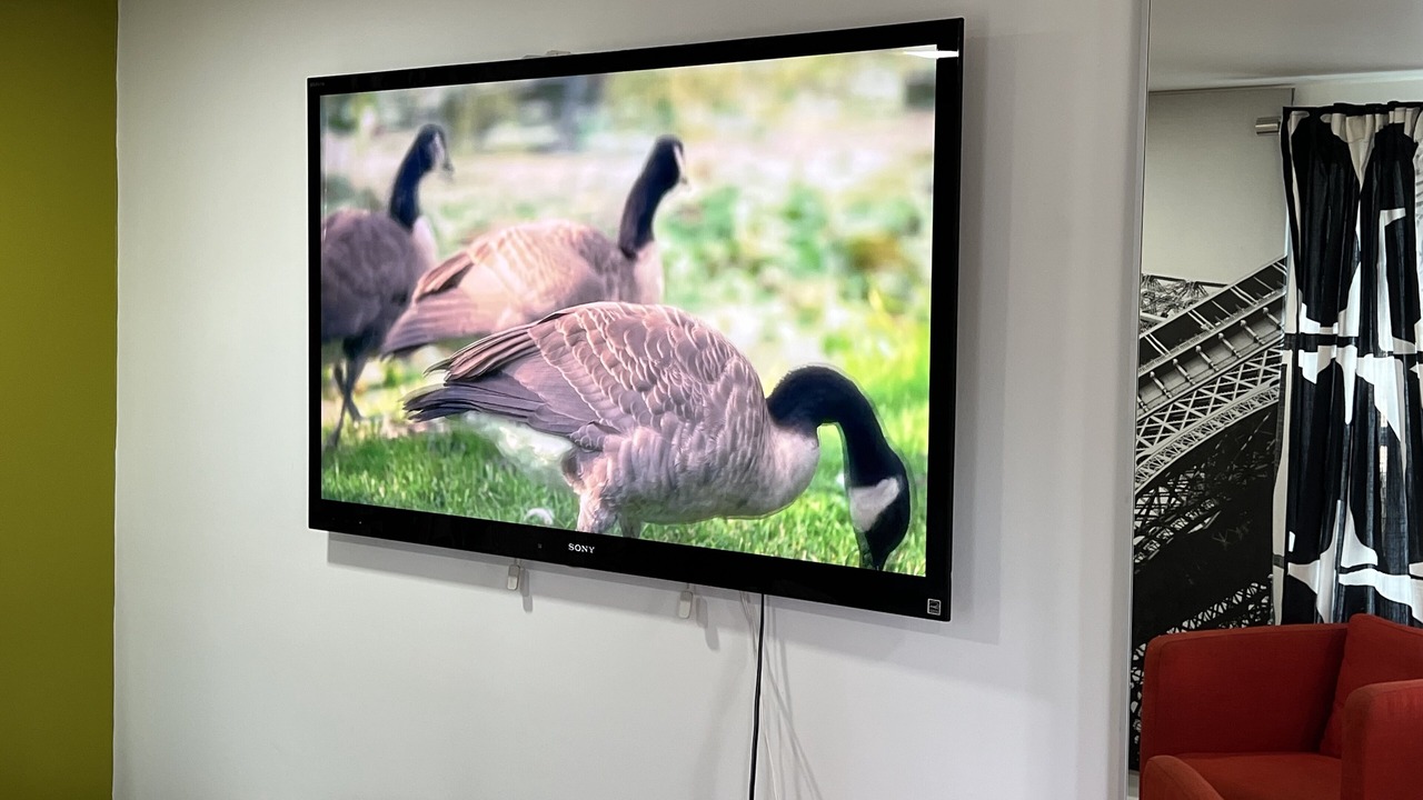Photo of Others in Roosevelt Park