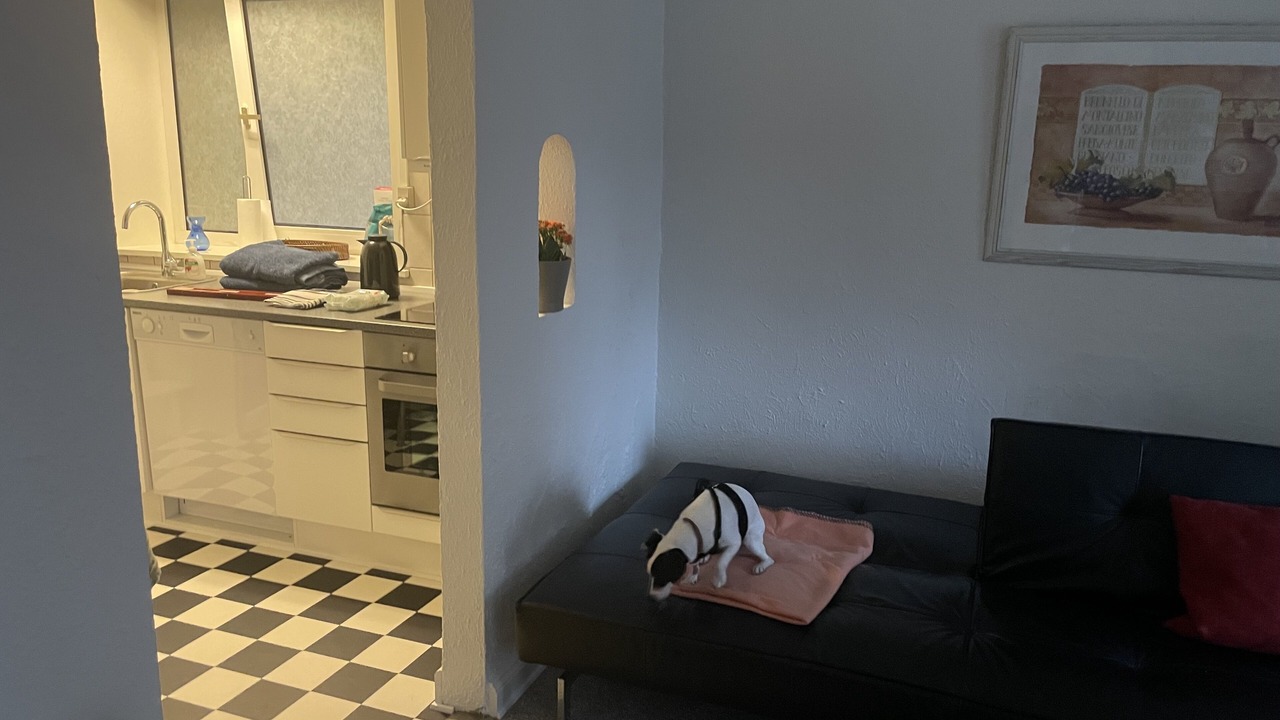 Photo of Others in Randers