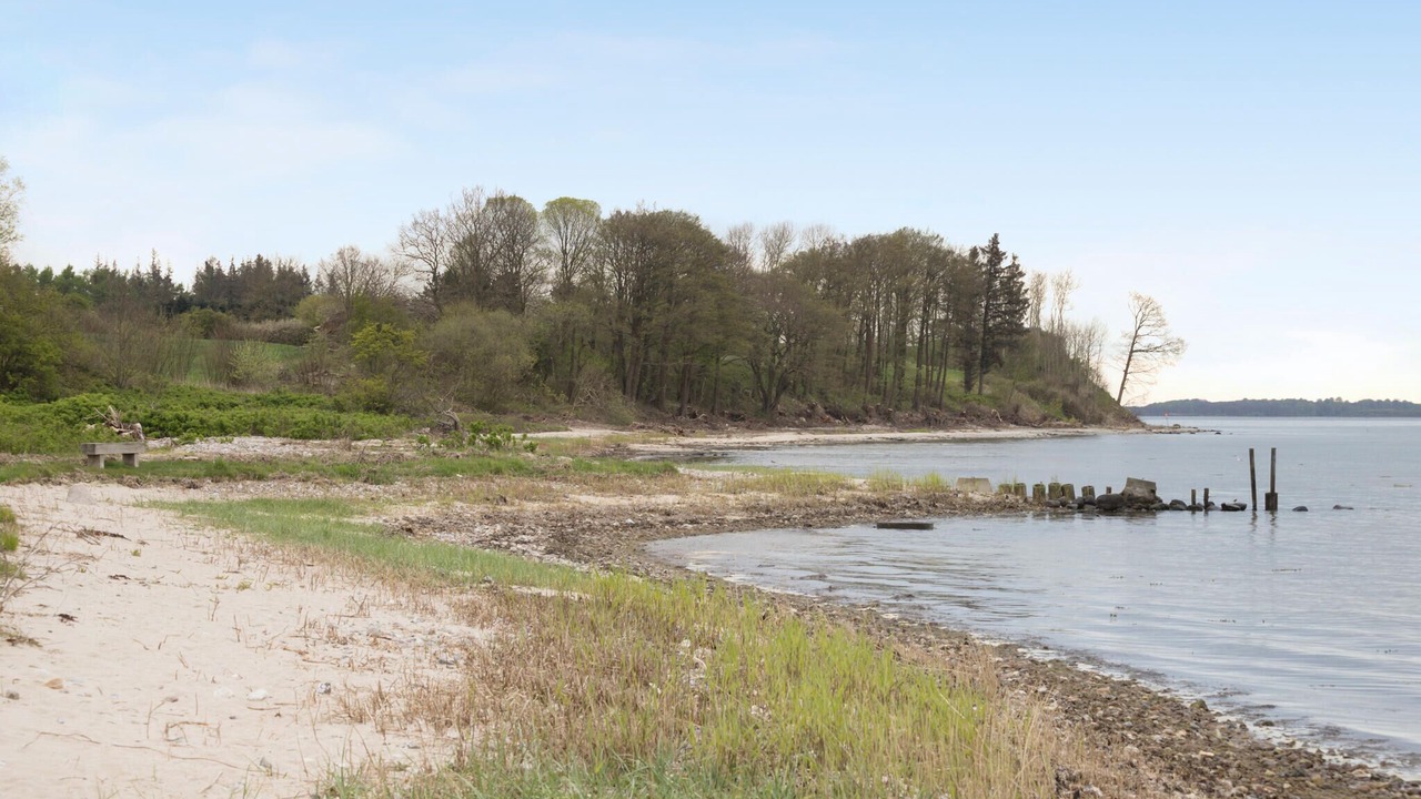 Photo of Others in Fynshav