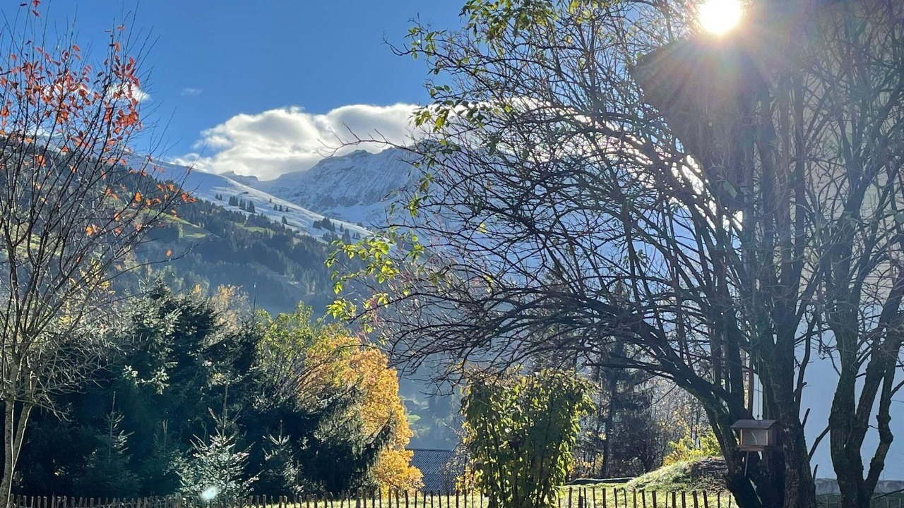 Photo of Others in Lenk