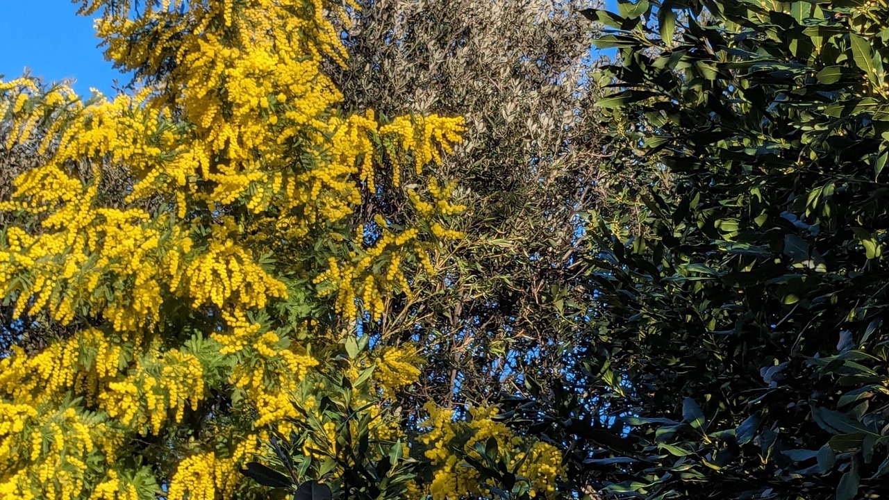 Photo of Outdoor in Saint-Hippolyte-du-Fort