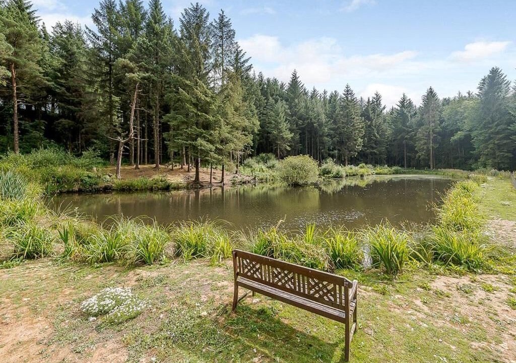 Photo of Others in Honiton