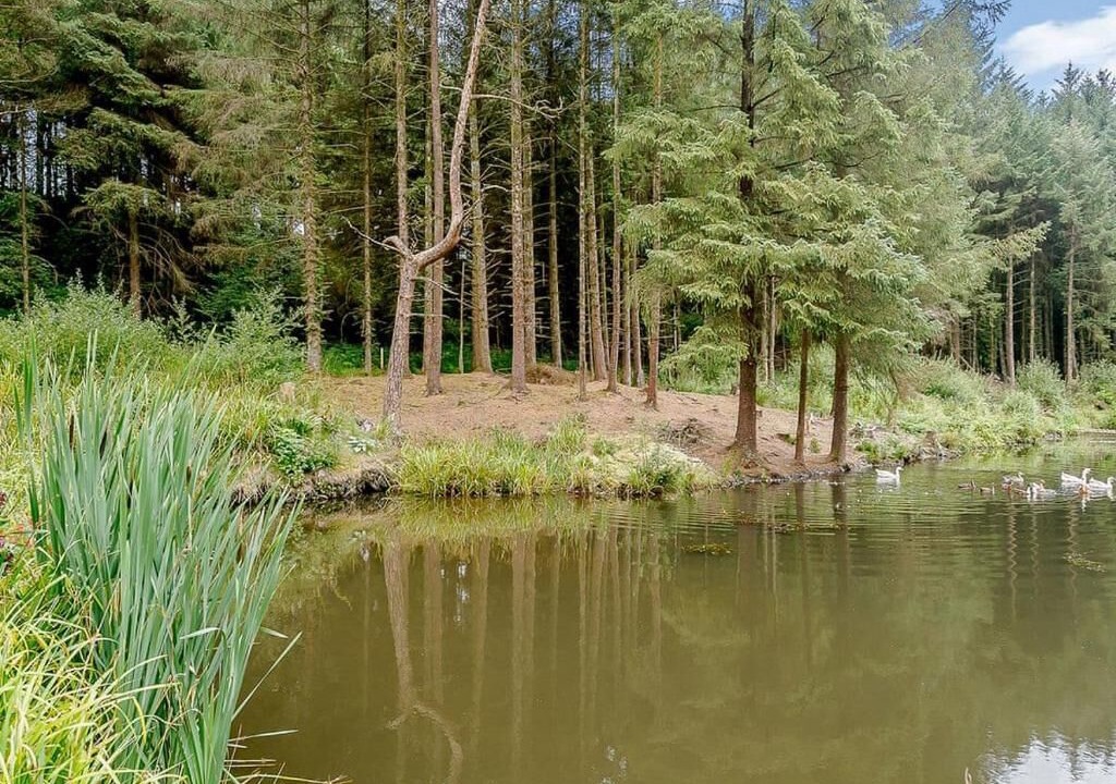 Photo of Others in Honiton