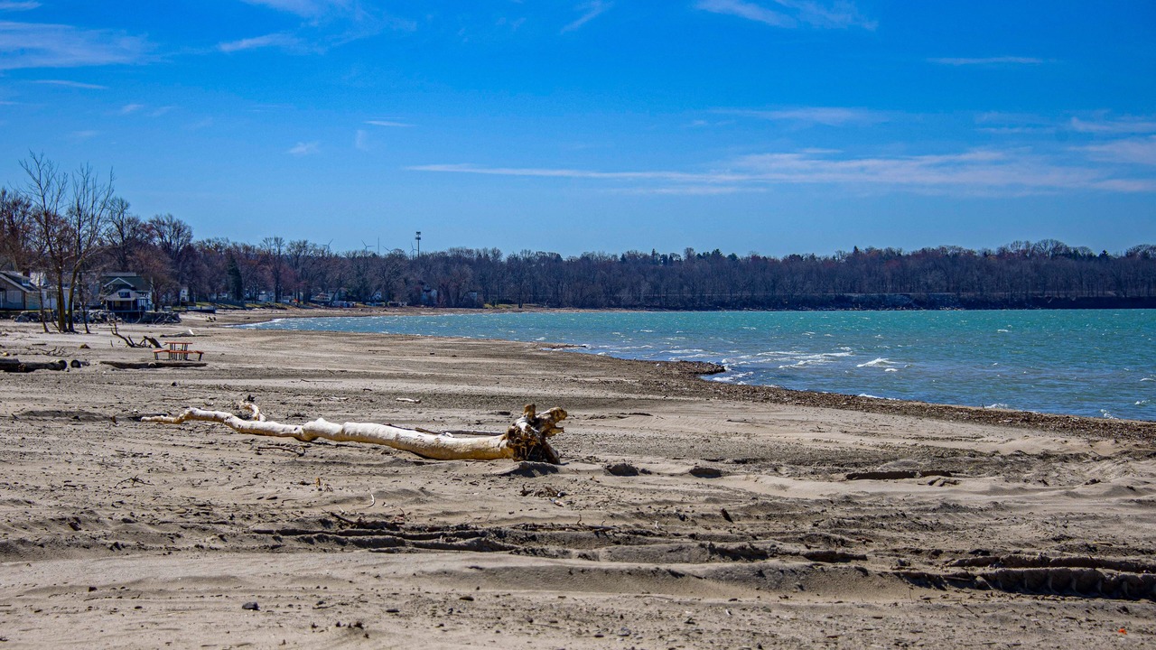 Photo of Others in Irving