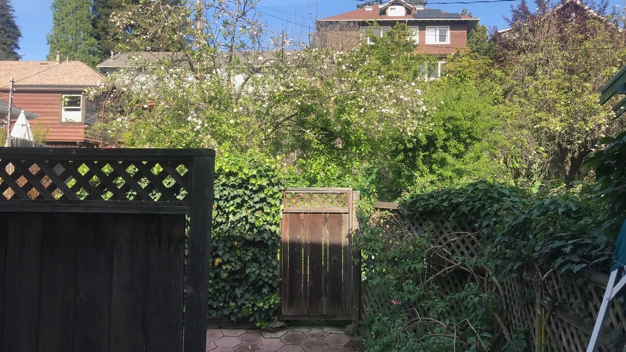 Photo of Outdoor in Berkeley Hills