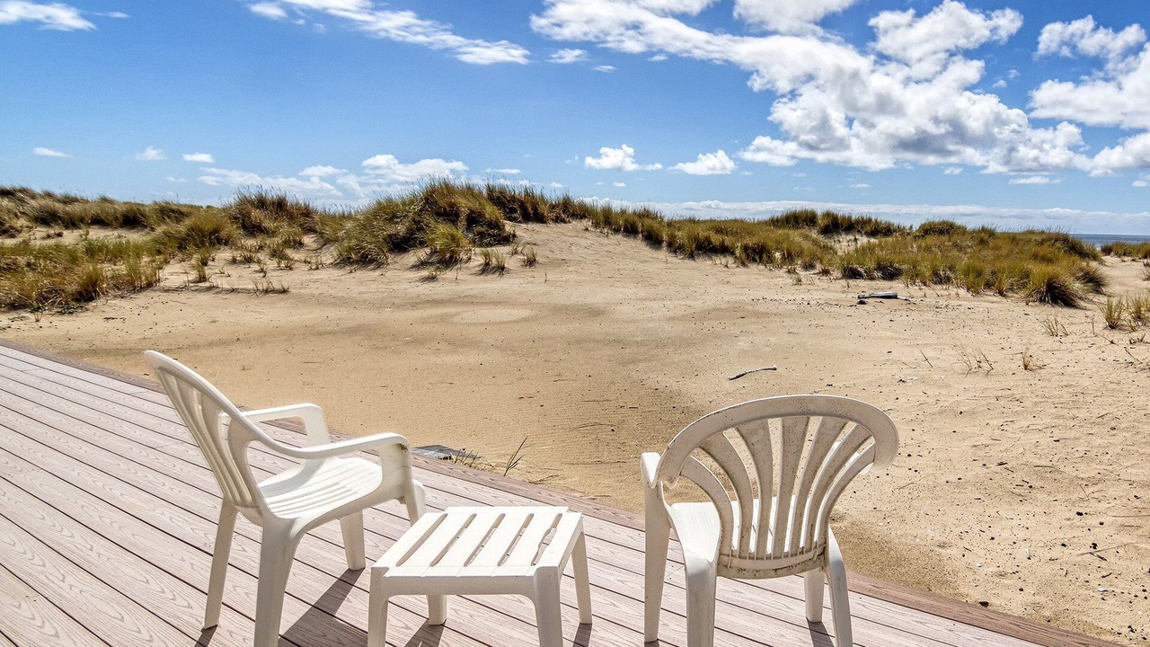 Photo of Others in Bayshore