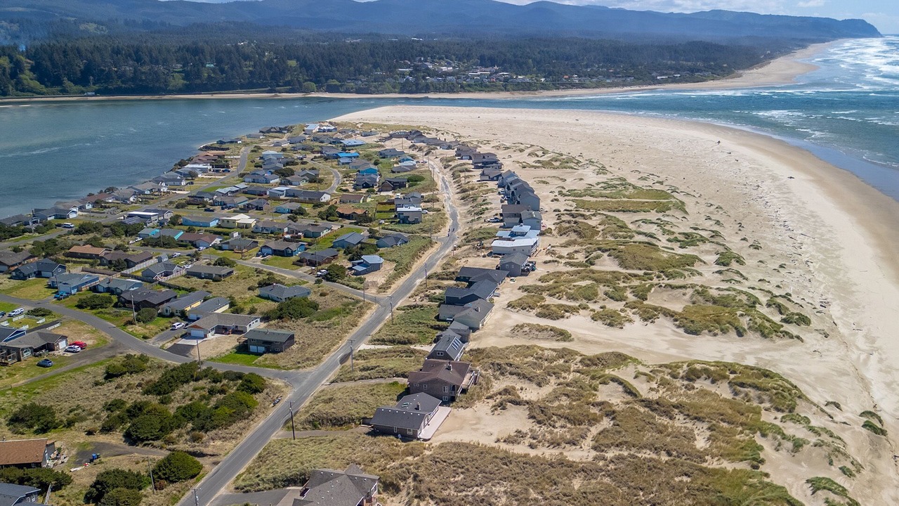 Photo of Others in Bayshore