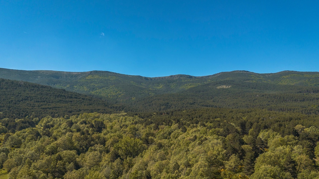 Photo of Others in Valle de Valdelaguna