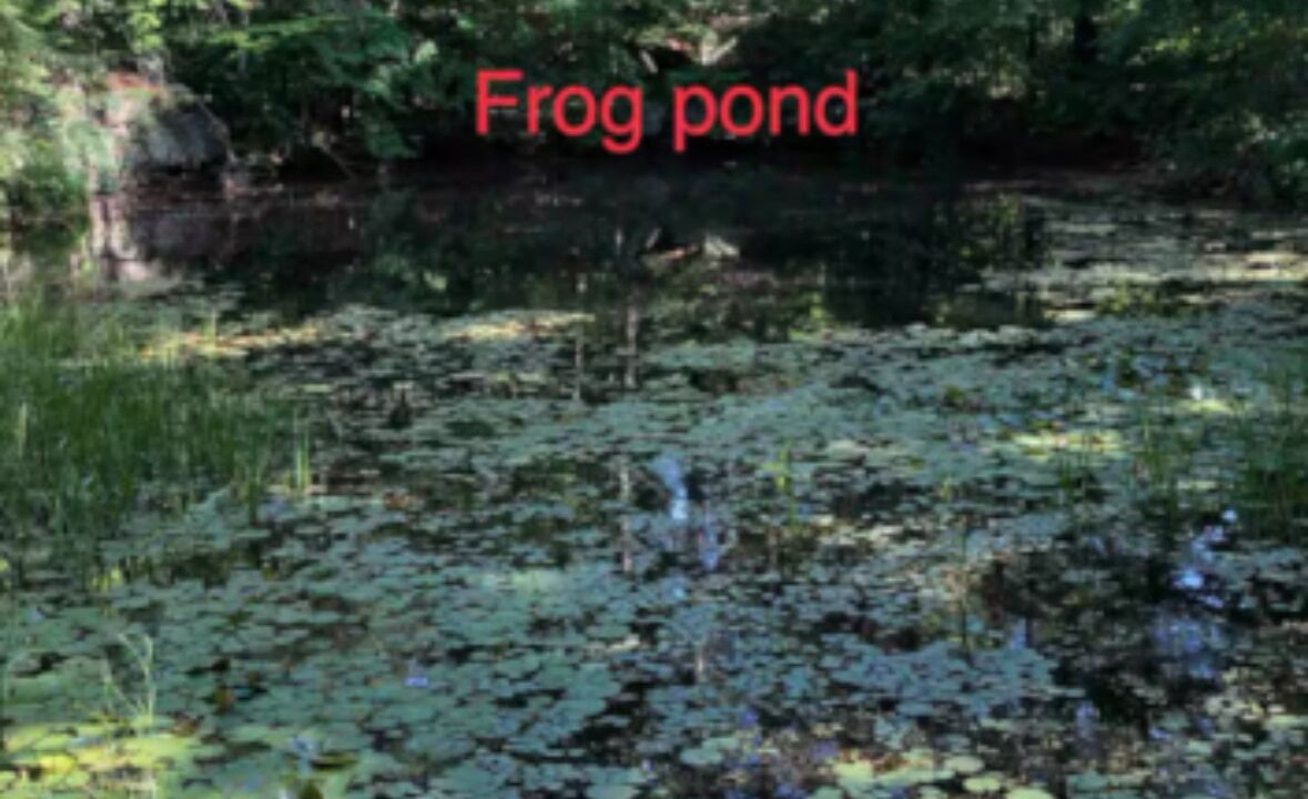Photo of Others in Milford