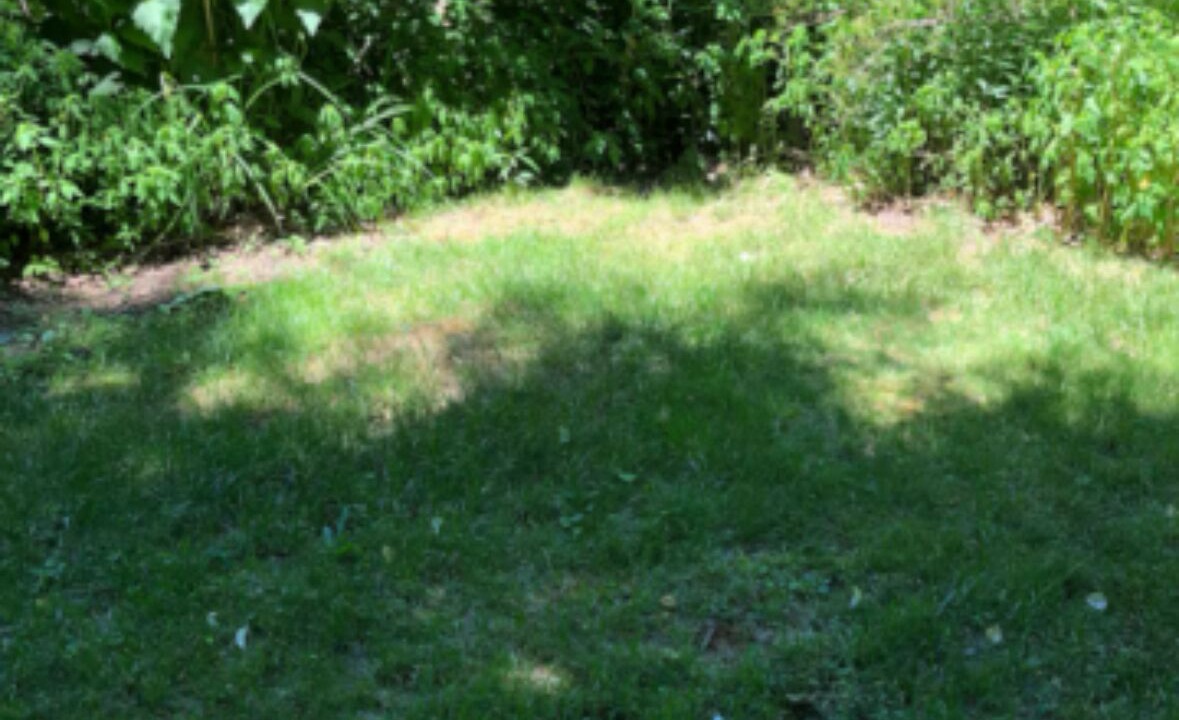 Photo of Outdoor in Milford