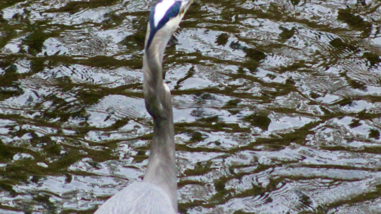 Photo of Others in Eagle Point