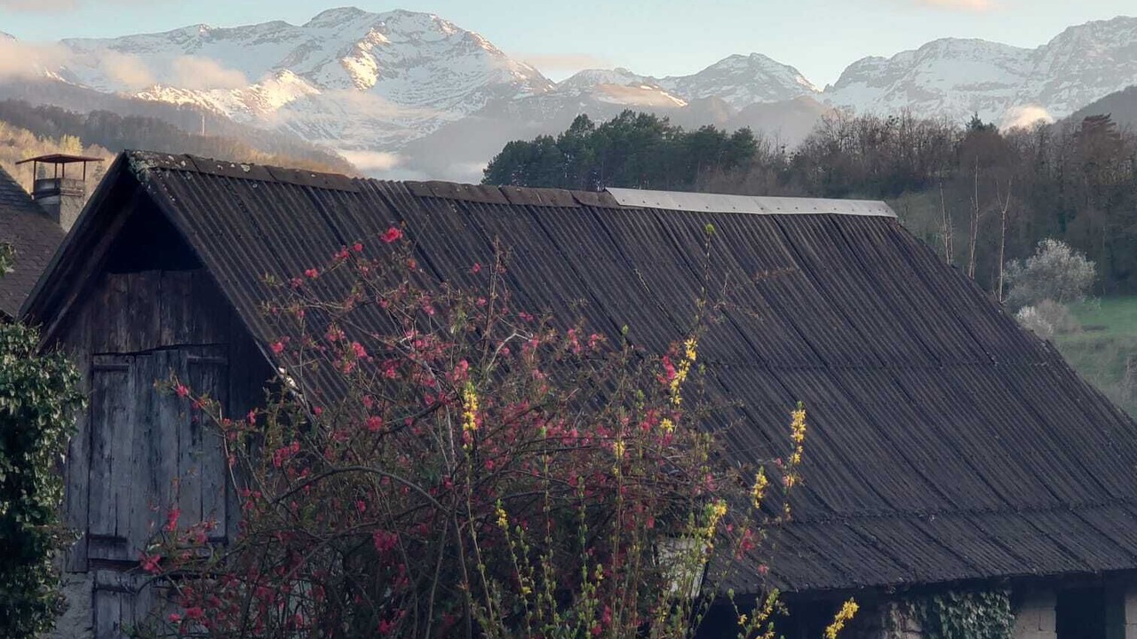 Photo of Outdoor in Cescau