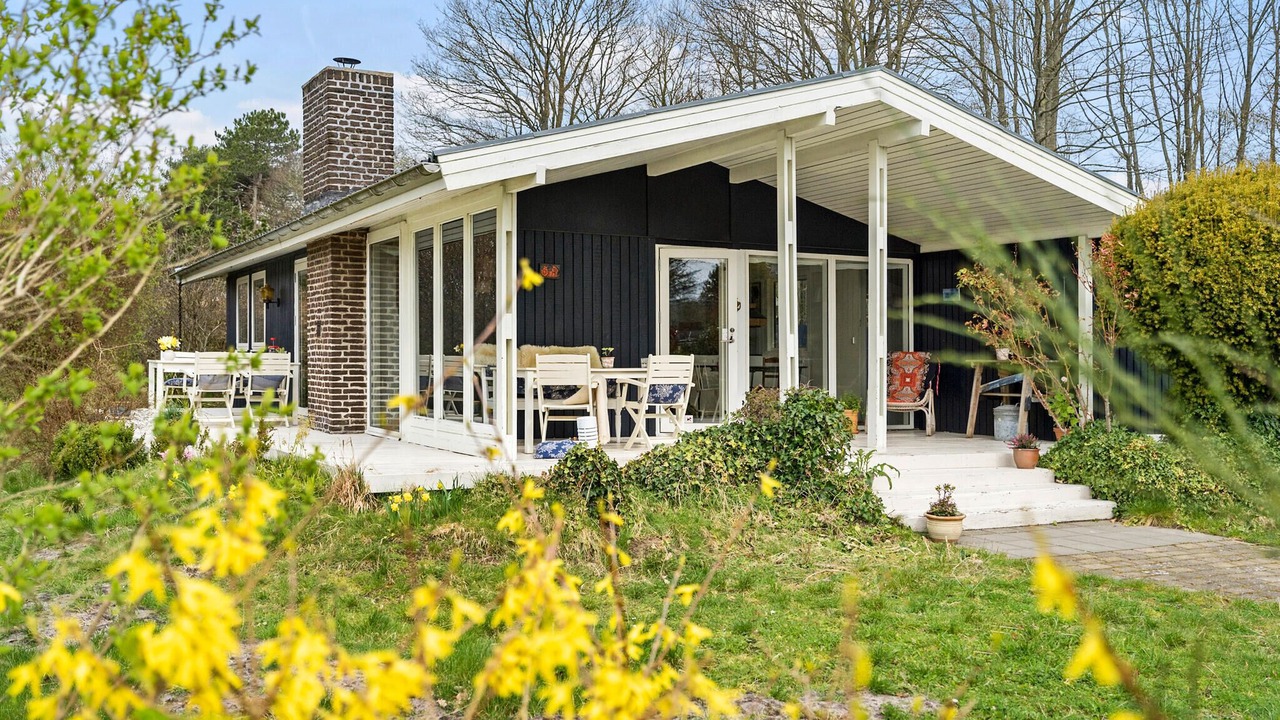 Photo of Others in Saksild Strand