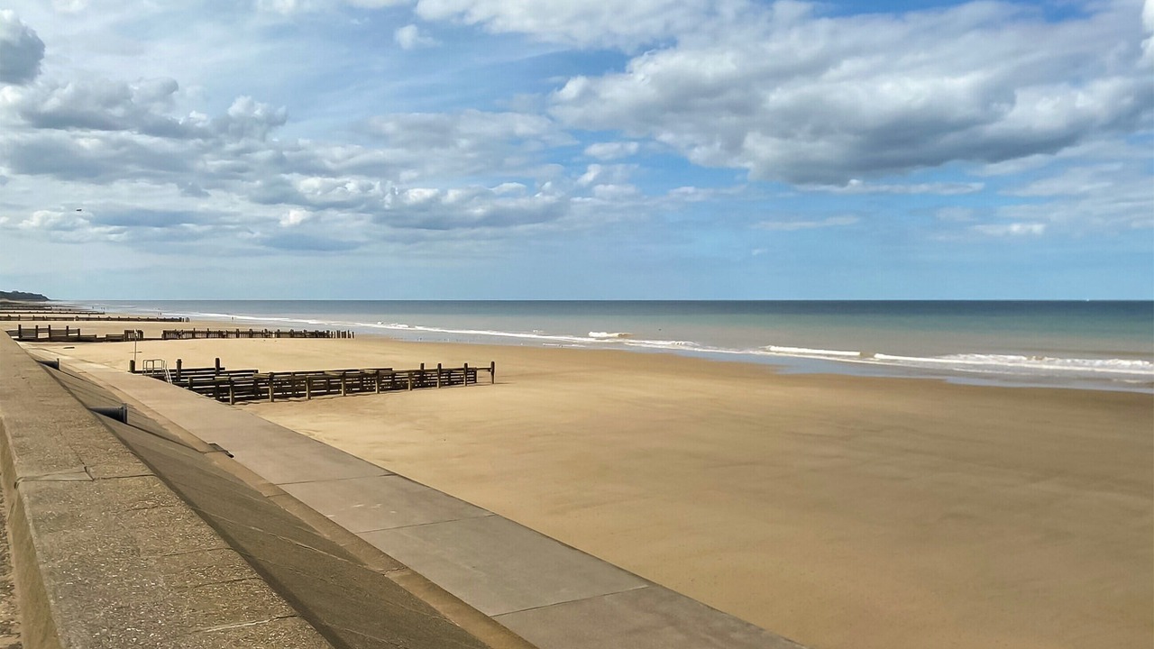 Photo of Others in Walcott