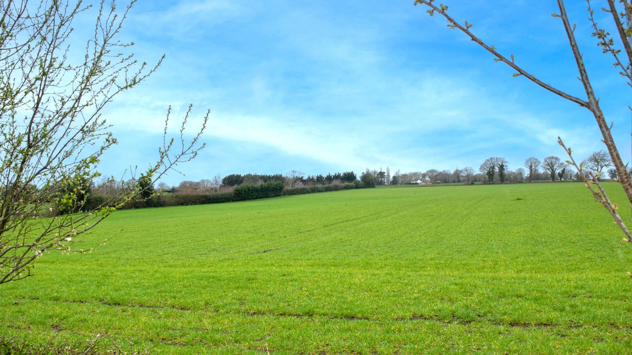 Photo of Outdoor in Trowse Newton