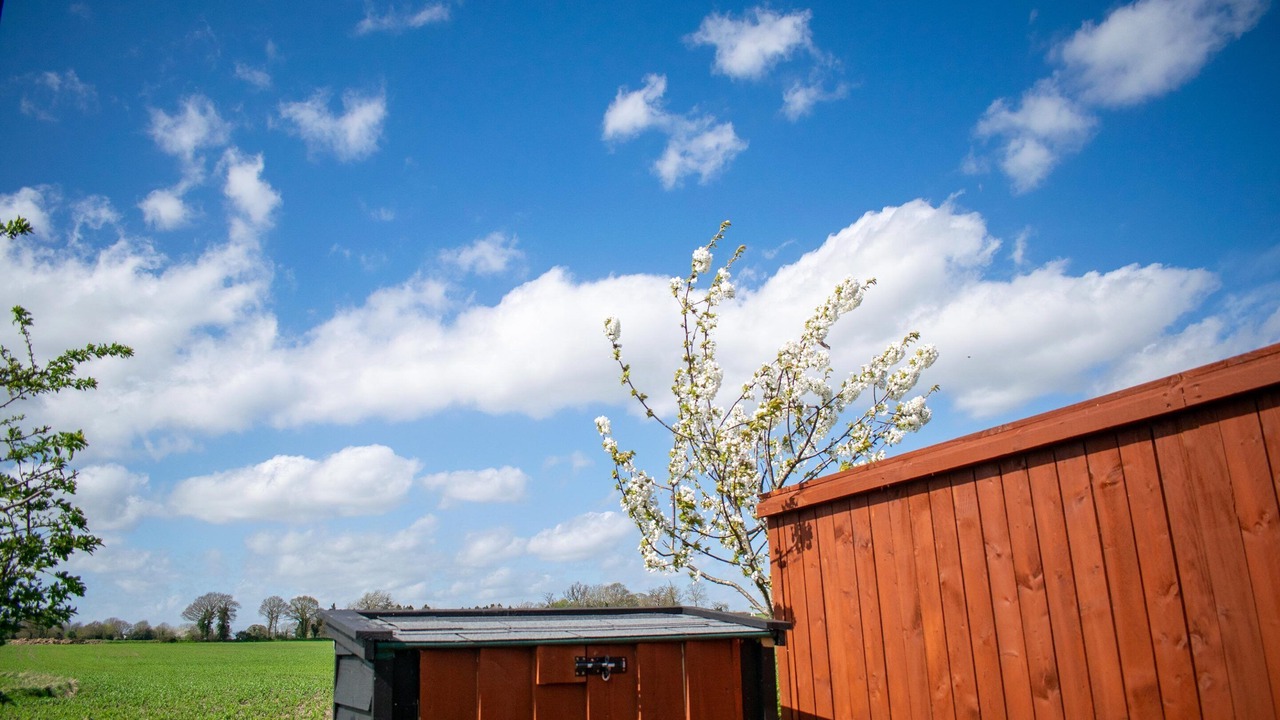 Photo of Others in Trowse Newton