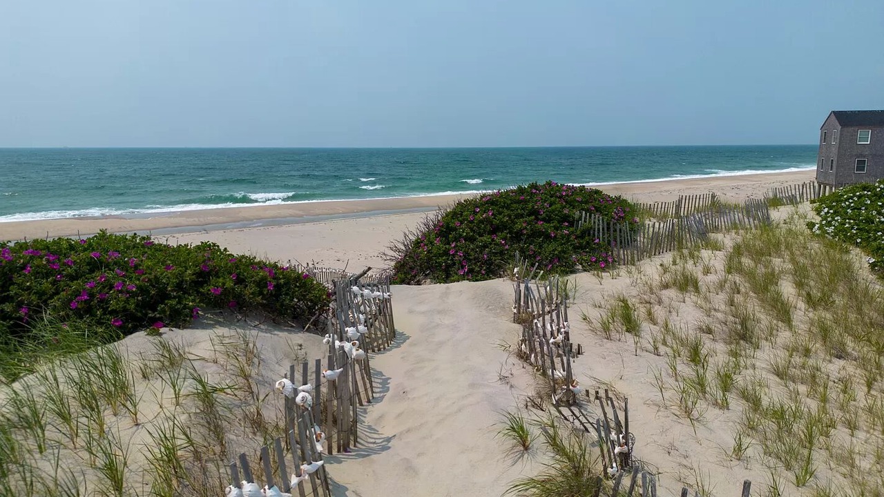 Photo of Others in Madaket