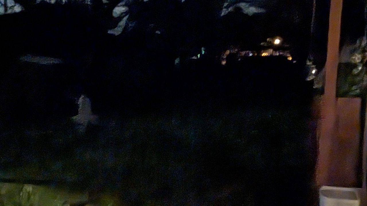 Photo of Outdoor in Copperas Cove